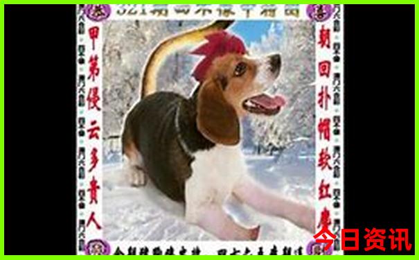 深圳旅游团报名一日游